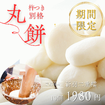 【送料無料】杵つき丸餅（新羽二重糯）